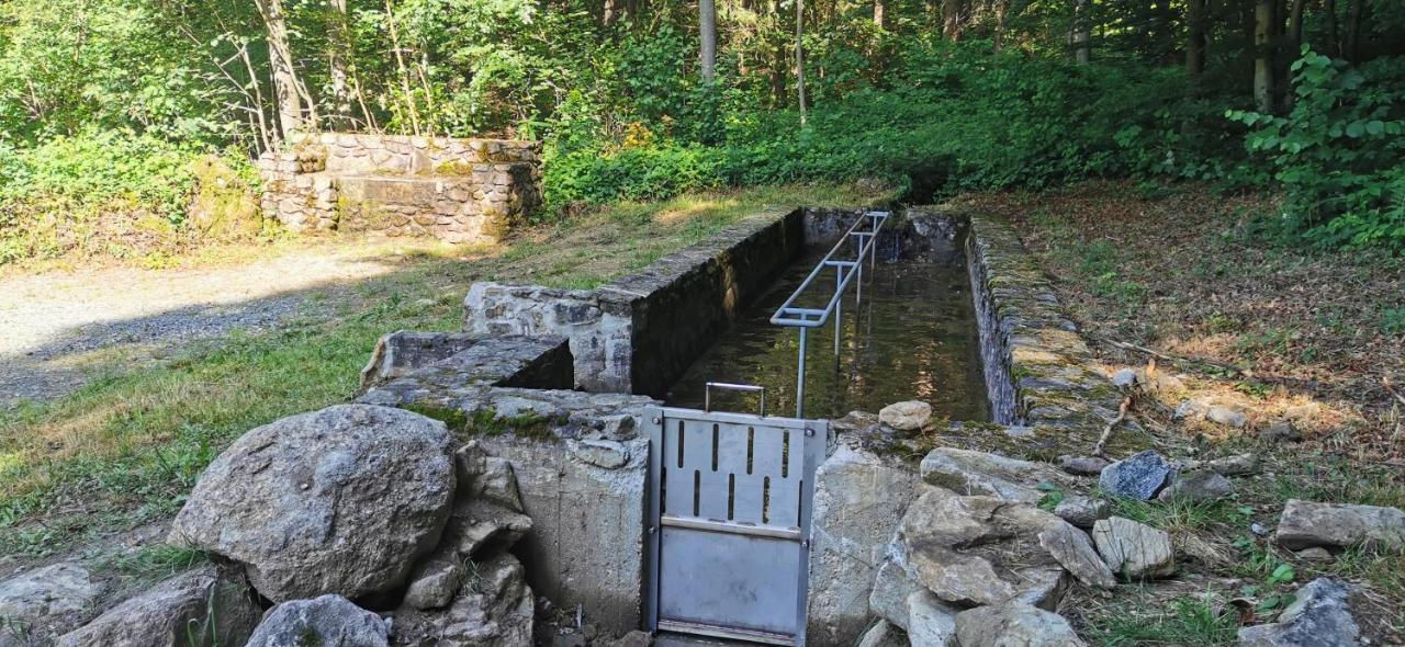 Anno - Die Wohlfuehl - Idylle In Gruenbach_Kirchdorf Kirchdorf im Wald Ngoại thất bức ảnh
